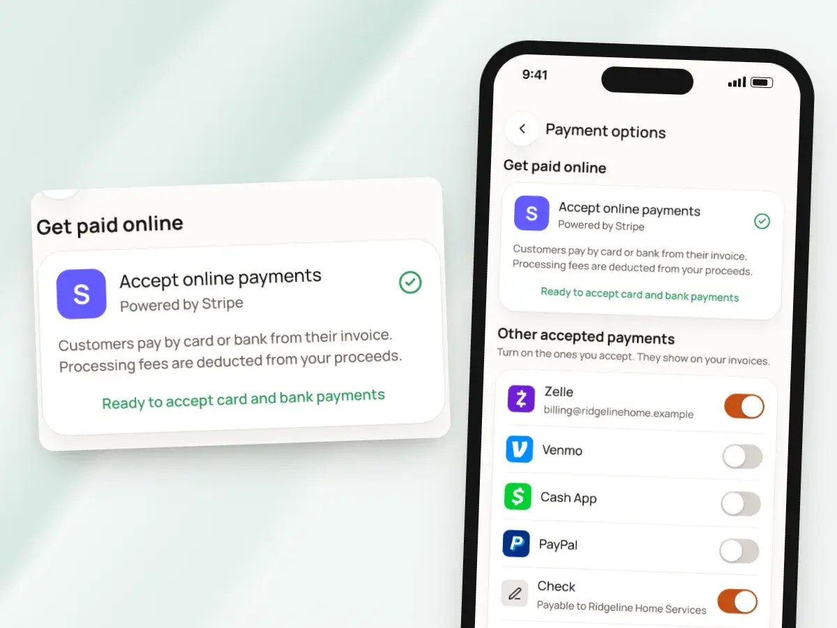 Online payments through Stripe in Payment options: ready to accept card and bank payments, with processing fees deducted from the proceeds